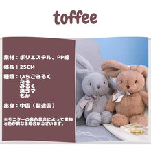 画像をギャラリービューアに読み込む, 【toffee】トフィー カフェからやってきたうさぎのぬいぐるみ