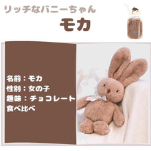 画像をギャラリービューアに読み込む, 【toffee】トフィー カフェからやってきたうさぎのぬいぐるみ