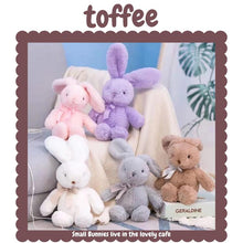 画像をギャラリービューアに読み込む, 【toffee】トフィー カフェからやってきたうさぎのぬいぐるみ