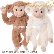 画像をギャラリービューアに読み込む, 再入荷【Bukowski Denis Bernard】ブコウスキー おさるさん チンパンジー ぬいぐるみ
